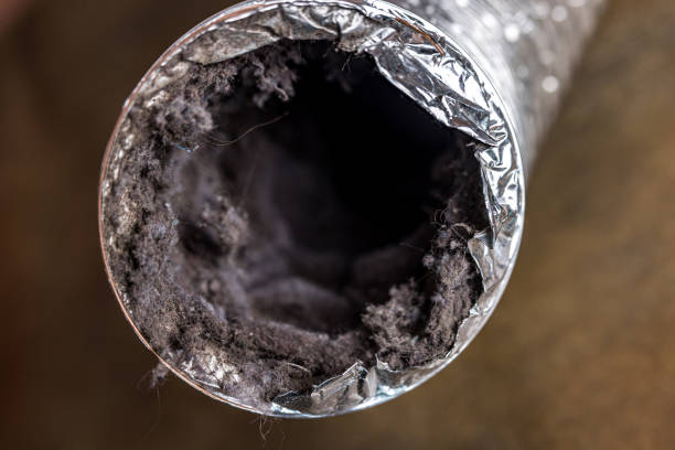  Pelican Marsh, FL Airduct Cleaning Pros